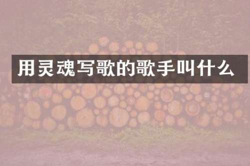 用灵魂写歌的歌手叫什么