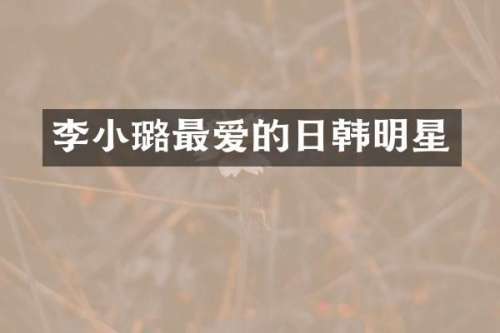 李小璐最爱的日韩明星