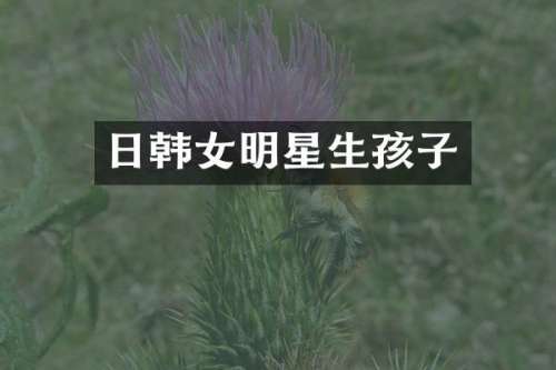 日韩女明星生孩子
