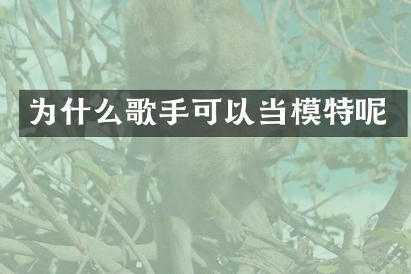 为什么歌手可以当模特呢