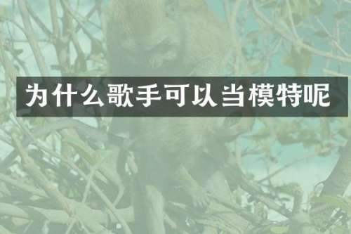 为什么歌手可以当模特呢