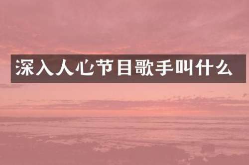 深入人心节目歌手叫什么