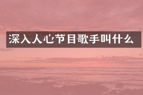 深入人心节目歌手叫什么