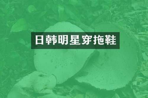 日韩明星穿拖鞋