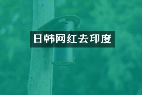 日韩网红去印度
