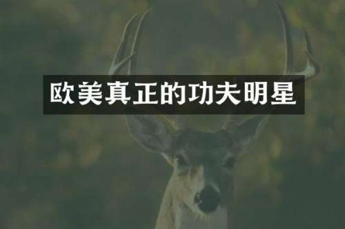 欧美真正的功夫明星