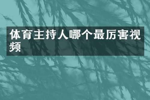 体育主持人哪个最厉害视频