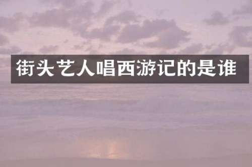 街头艺人唱西游记的是谁