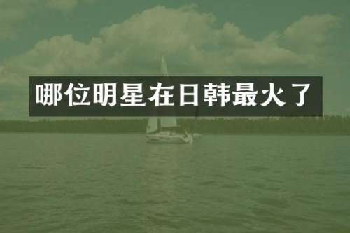 哪位明星在日韩最火了