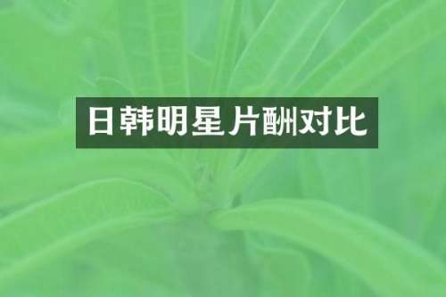 日韩明星片酬对比