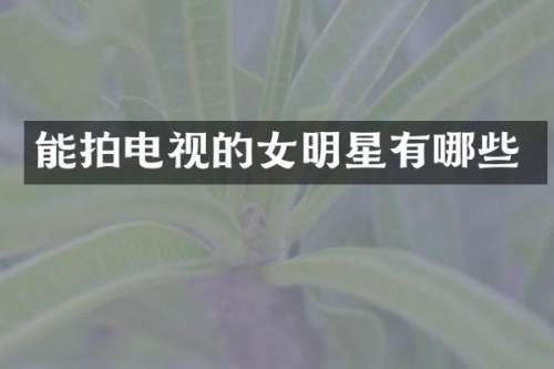 能拍电视的女明星有哪些