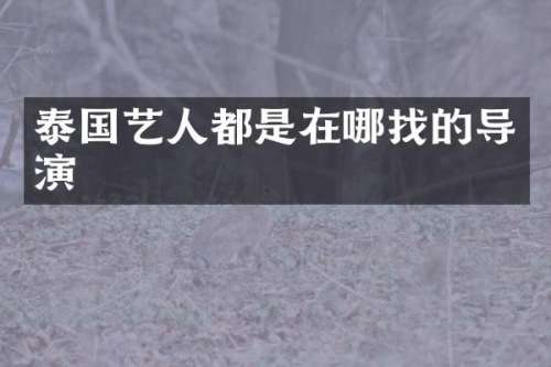 泰国艺人都是在哪找的导演