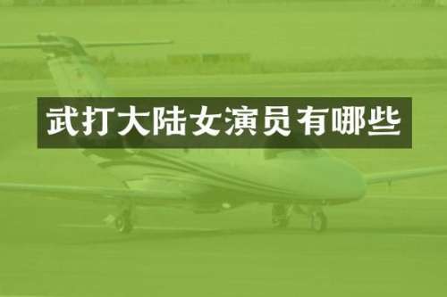 武打大陆女演员有哪些
