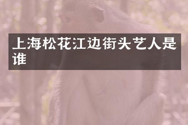 上海松花江边街头艺人是谁