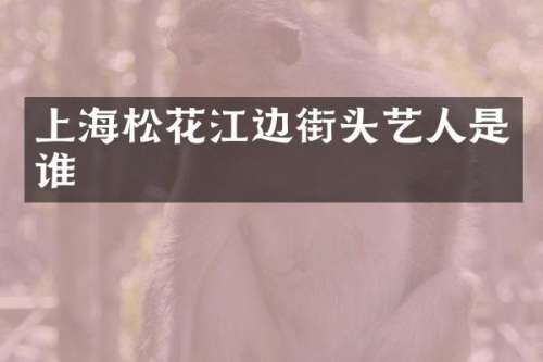 上海松花江边街头艺人是谁