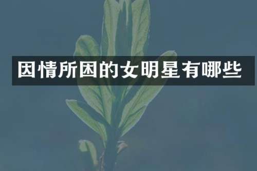 因情所困的女明星有哪些