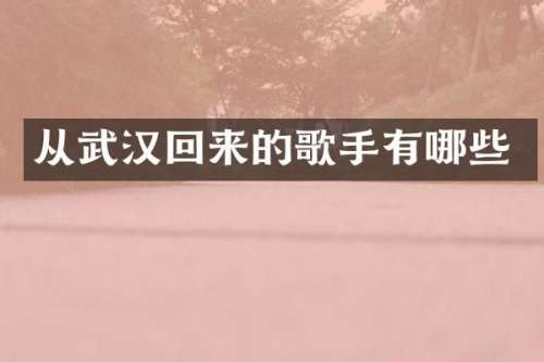 从武汉回来的歌手有哪些