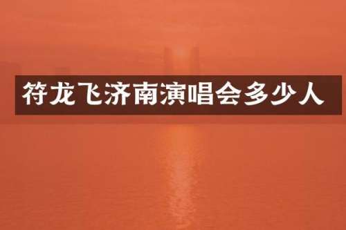 符龙飞济南演唱会多少人