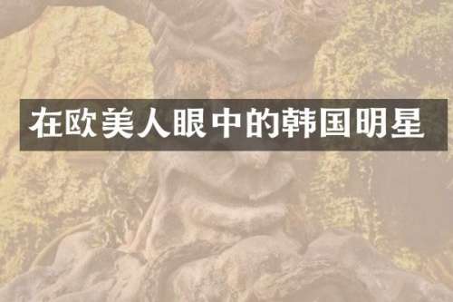 在欧美人眼中的韩国明星