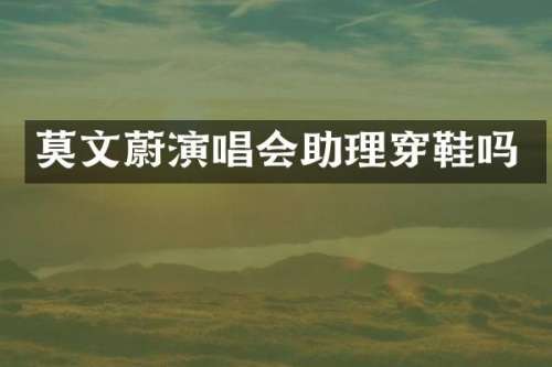 莫文蔚演唱会助理穿鞋吗