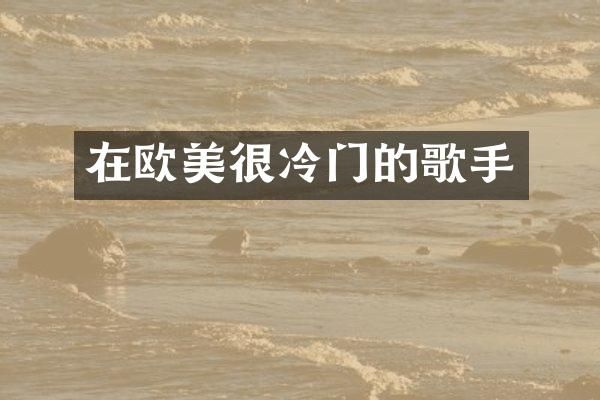 在欧美很冷门的歌手