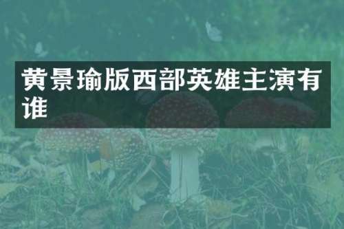 黄景瑜版西部英雄主演有谁
