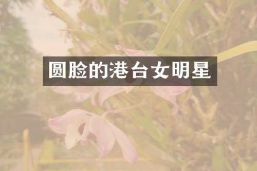 圆脸的港台女明星