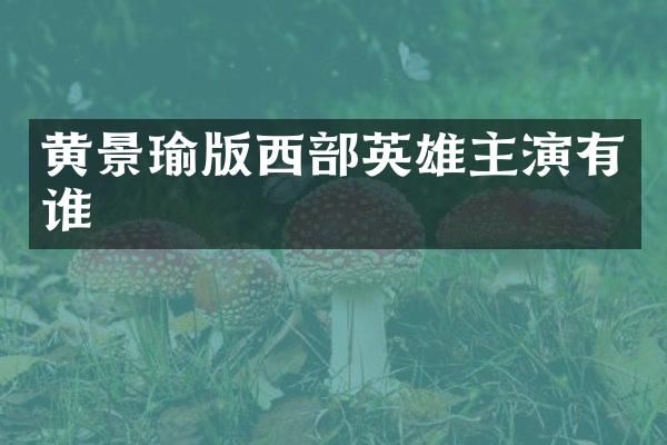 黄景瑜版西部英雄主演有谁