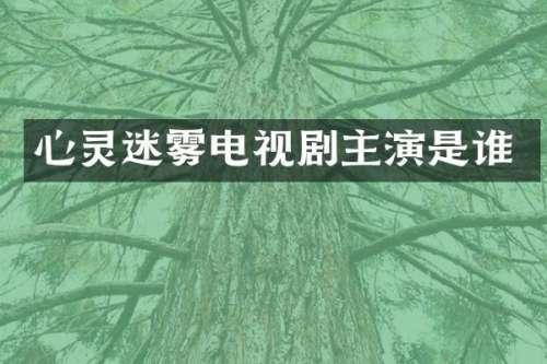 心灵迷雾电视剧主演是谁