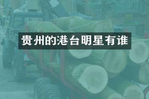 贵州的港台明星有谁