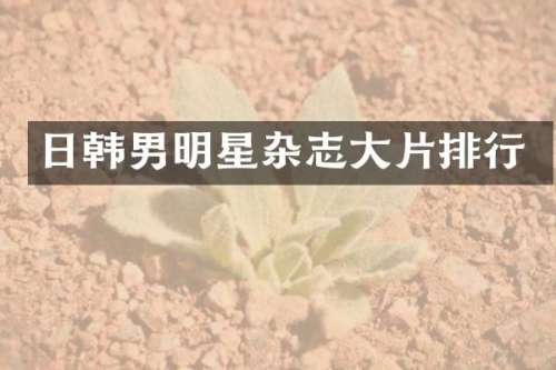 日韩男明星杂志大片排行