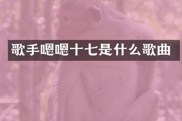 歌手嗯嗯十七是什么歌曲