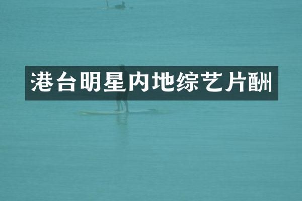 港台明星内地综艺片酬