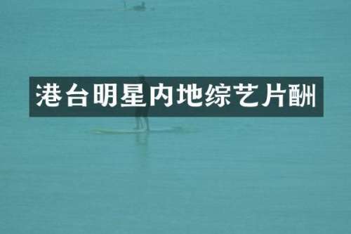 港台明星内地综艺片酬