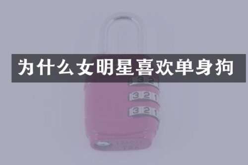 为什么女明星喜欢单身狗