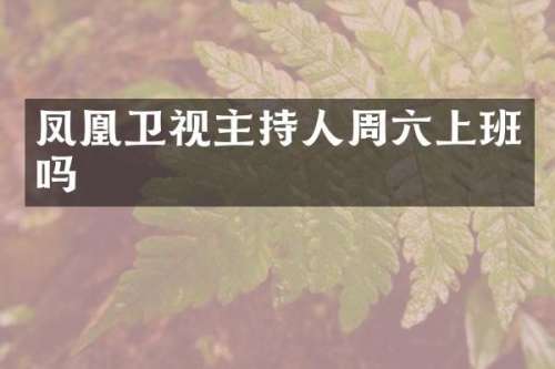凤凰卫视主持人周六上班吗