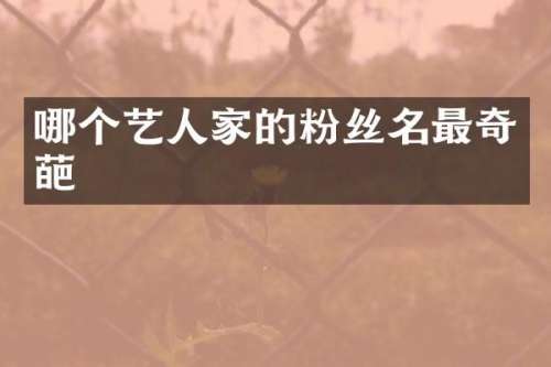 哪个艺人家的粉丝名最奇葩