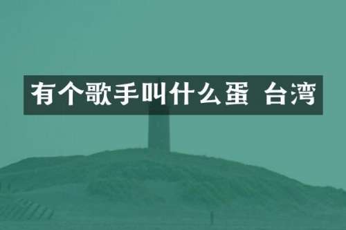 有个歌手叫什么蛋 台湾