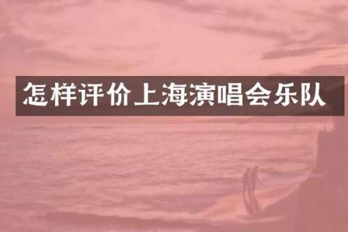 怎样评价上海演唱会乐队