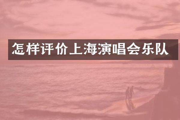 怎样评价上海演唱会乐队