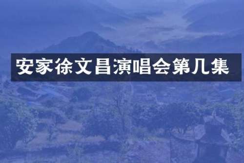 安家徐文昌演唱会第几集