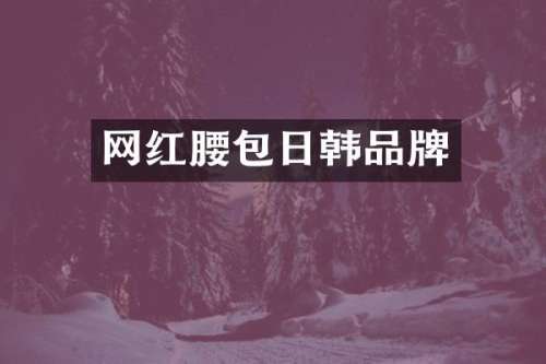 网红腰包日韩品牌