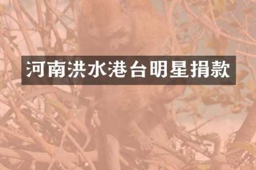 河南洪水港台明星捐款