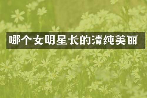 哪个女明星长的清纯美丽