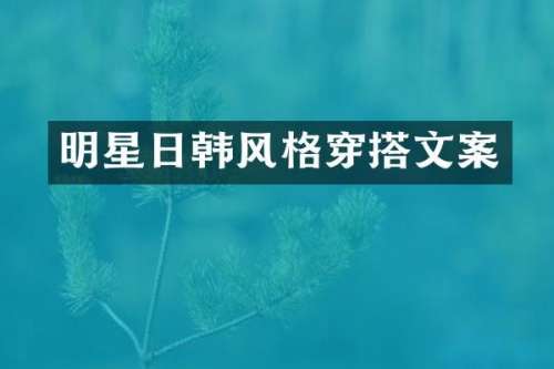 明星日韩风格穿搭文案