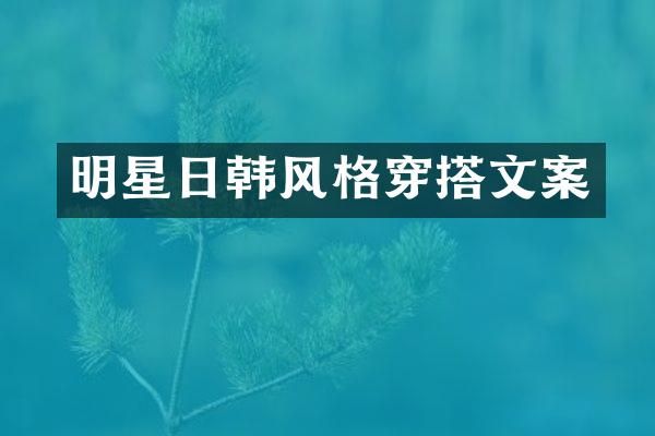 明星日韩风格穿搭文案