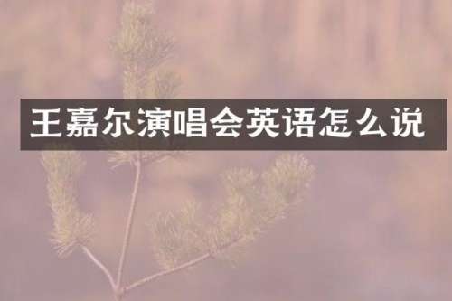 王嘉尔演唱会英语怎么说