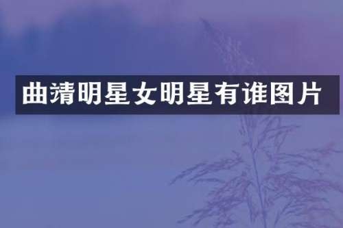 曲靖明星女明星有谁图片