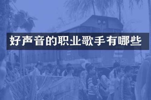 好声音的职业歌手有哪些