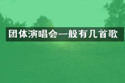 团体演唱会一般有几首歌